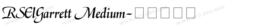 RSElGarrett Medium字体转换